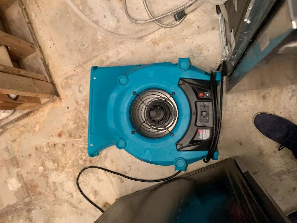 Air mover drying equipment for Mold Remediation & Removal in Swainsboro